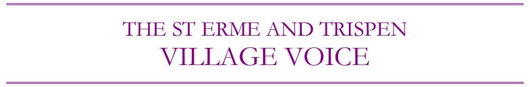Village Voice header